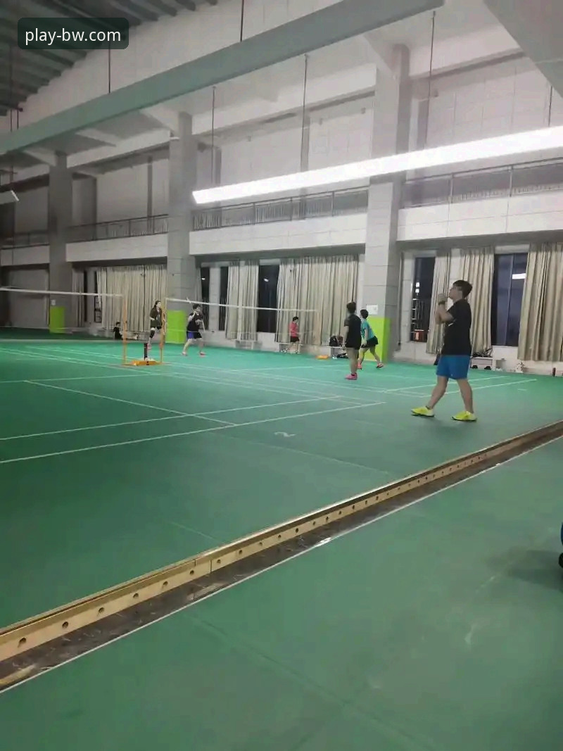 宝威体育平台：官方下载与第三方渠道的深度对比，用户真实评价揭示关键差异